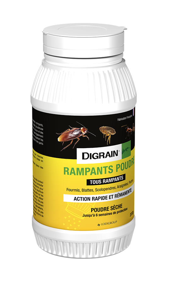RAMPANTS POUDRE 200g