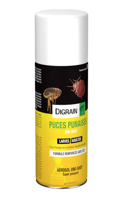 AEROSOL ONE SHOT 100ml